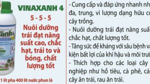 Chế phẩm dưỡng trái Vinaxanh 4 - 500ml