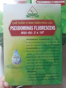 Chế phẩm Pseudomonas phòng nấm bệnh